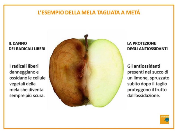 Radicali liberi e dieta antiaging